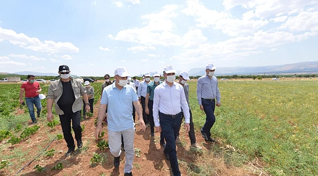 VALİ BARUŞ,YEŞİLYURT BELEDİYESİNİN TARIMSAL ALANLARINI YERİNDE İNCELEDİ.