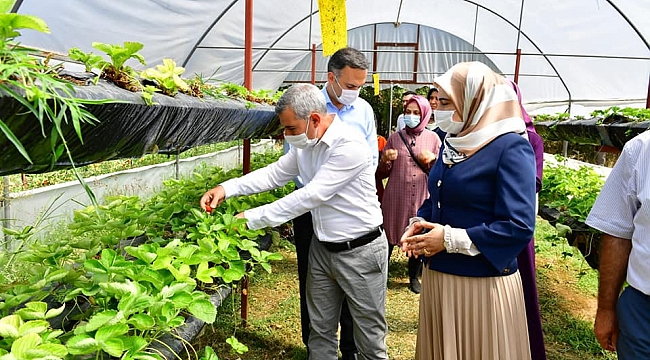 BAŞKAN ÇINAR, YEŞİLYURT KADIN GİRİŞİMİ VE İŞLETME KOOPERATİFİ ÜYELERİNİ SERA ALANINDA AĞIRLADI