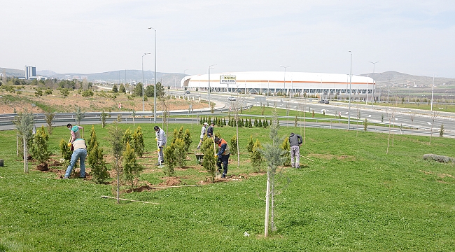 Büyükşehir Belediyesi Parkları ve Refüjleri Yenileniyor 